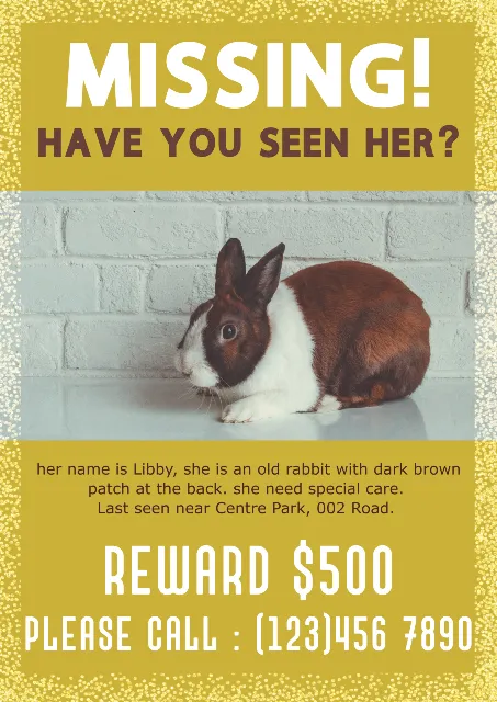 Have You Seen Her ? Design Template | PIXLR